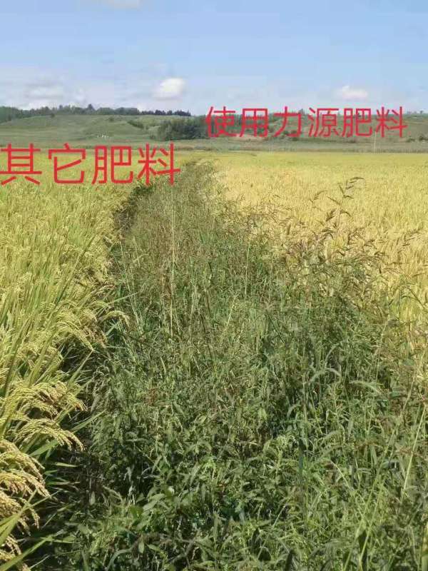 &#107;&#97;&#105;&#121;&#117;&#110;&#24320;&#20113;&#23448;&#26041;&#32593;&#39029;&#29256;&#45;&#107;&#97;&#105;&#121;&#117;&#110;&#24320;&#20113;&#40;&#20013;&#22269;&#41;