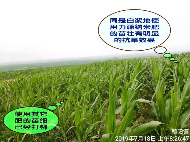 &#107;&#97;&#105;&#121;&#117;&#110;&#24320;&#20113;&#23448;&#26041;&#32593;&#39029;&#29256;&#45;&#107;&#97;&#105;&#121;&#117;&#110;&#24320;&#20113;&#40;&#20013;&#22269;&#41;